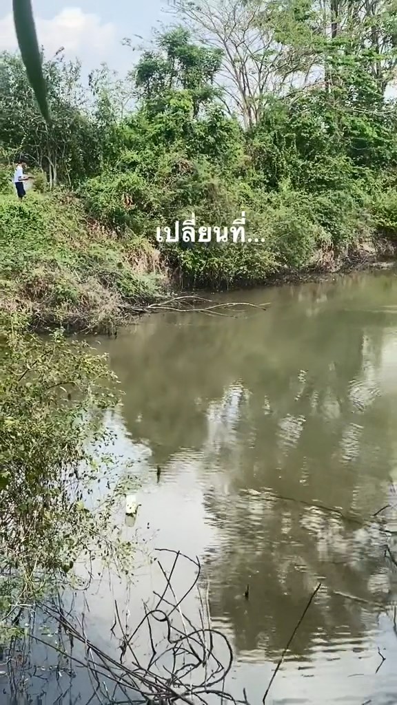 ตกปลากแก้ มส